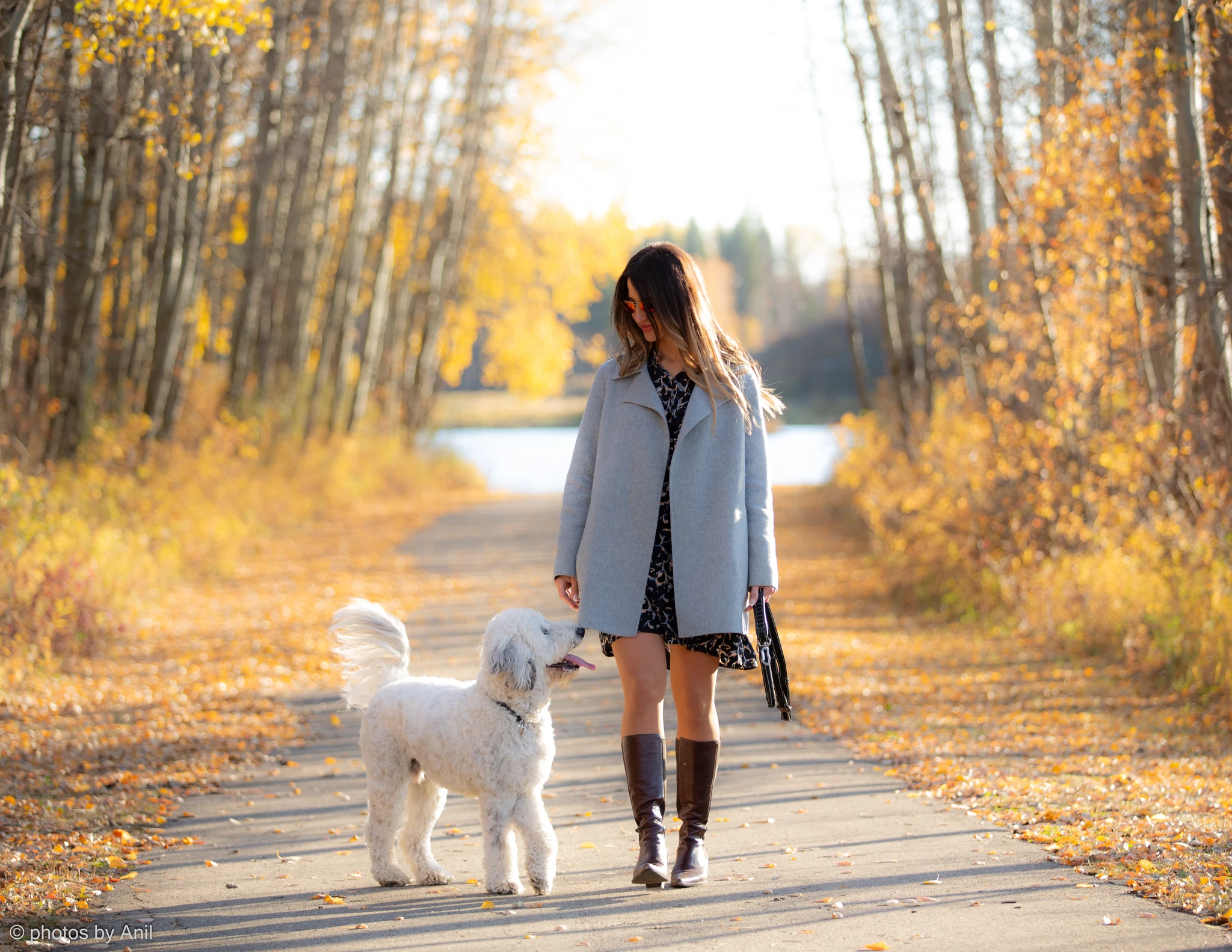 Pet photograph by Anil Somaia