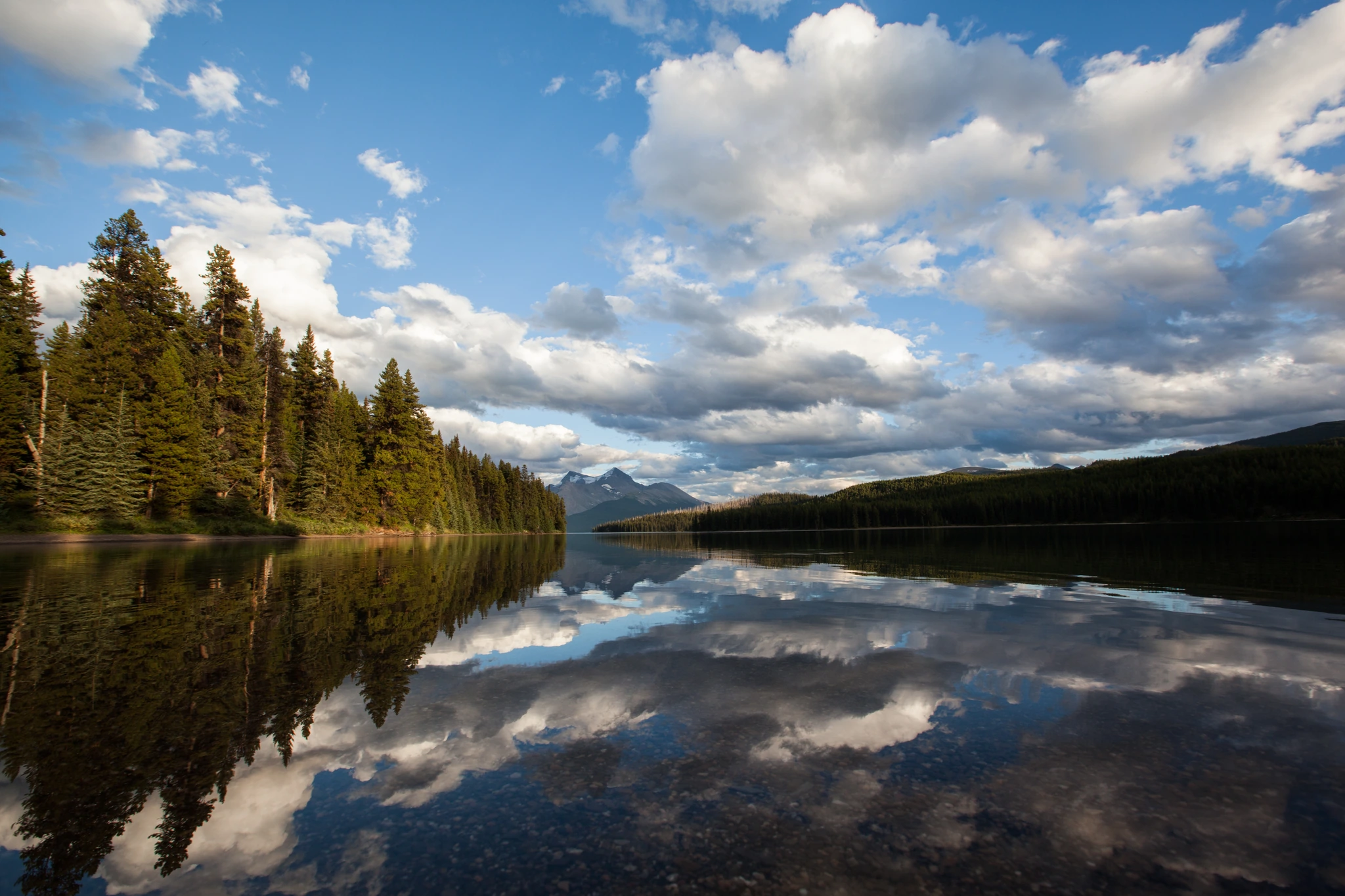 A mountain lake at midday, spruce and cloud mirrored in perfectly still water