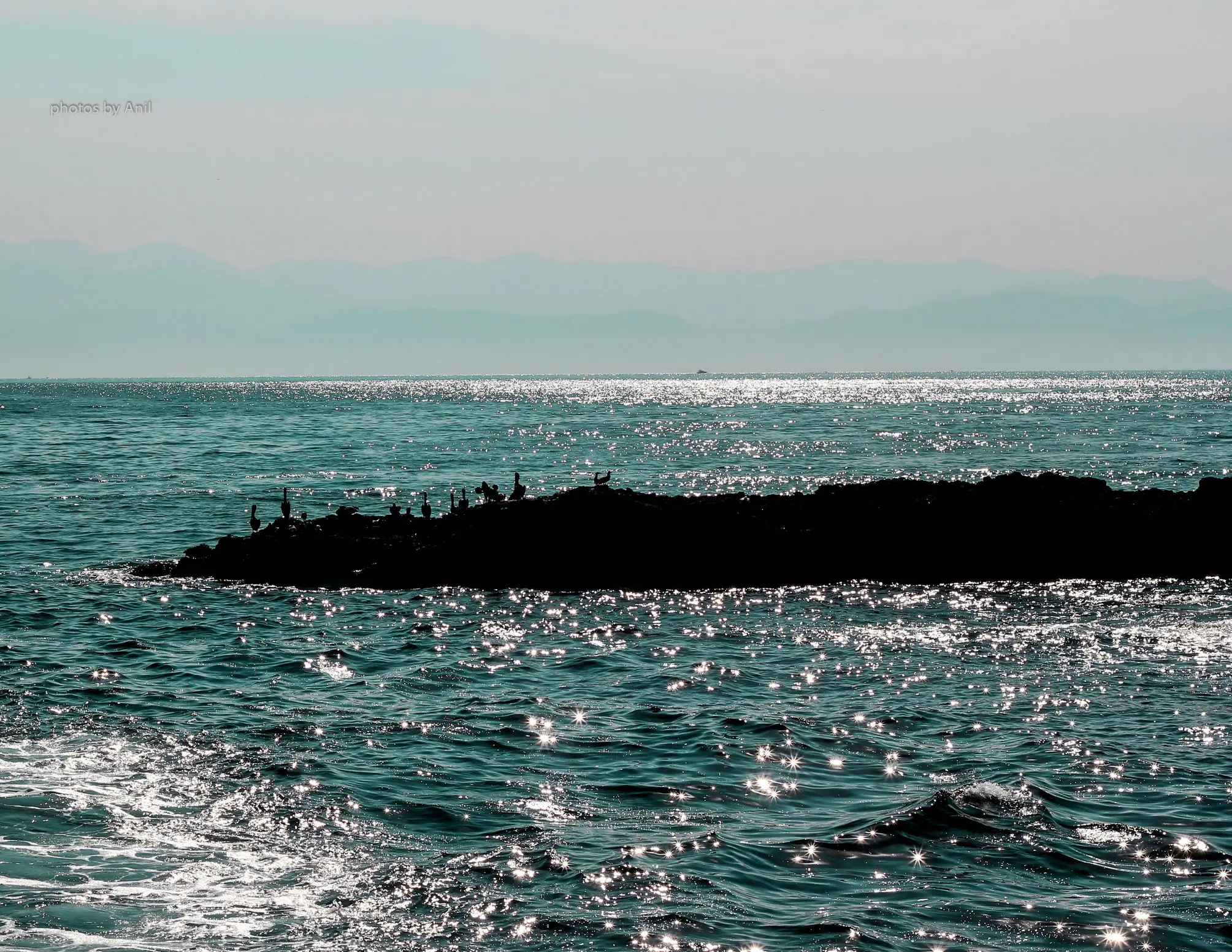 Sunlight scattering across open water beyond a low rocky point