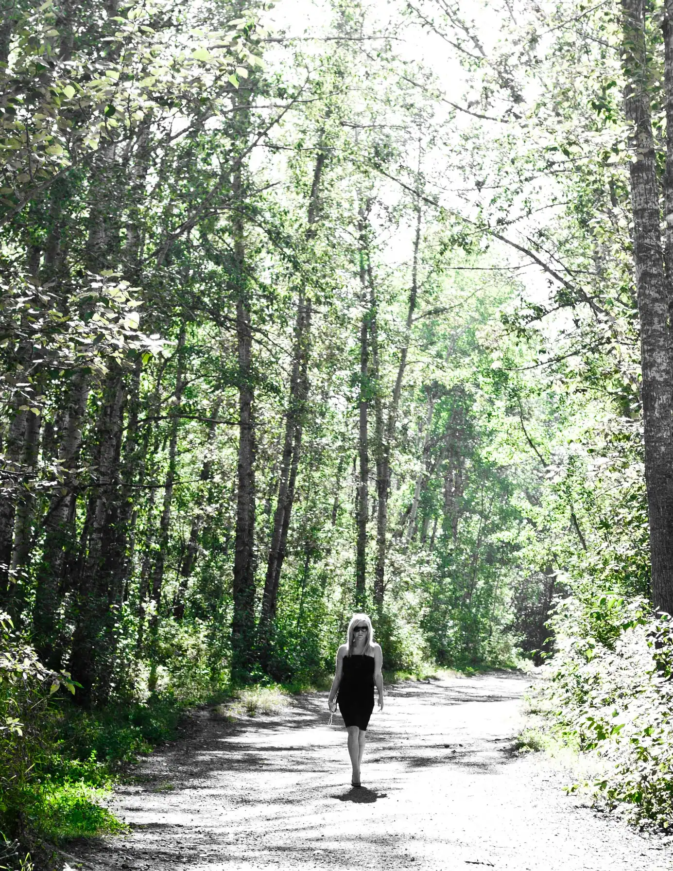 A single figure on a woodland trail, poplars in new leaf closing in on both sides