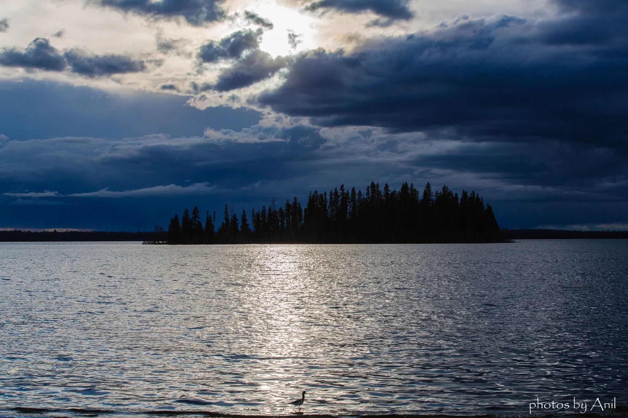 Landscape photograph by Anil Somaia