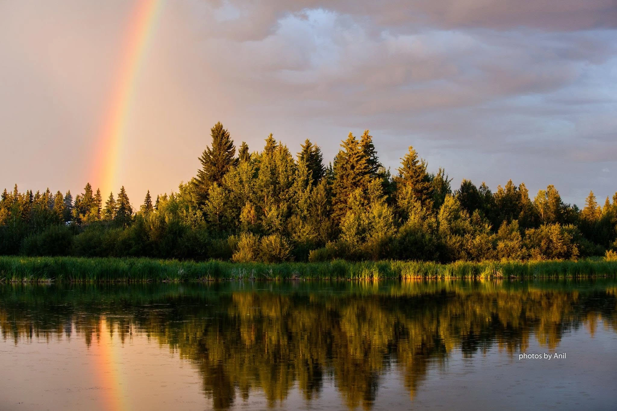 Landscape photograph by Anil Somaia