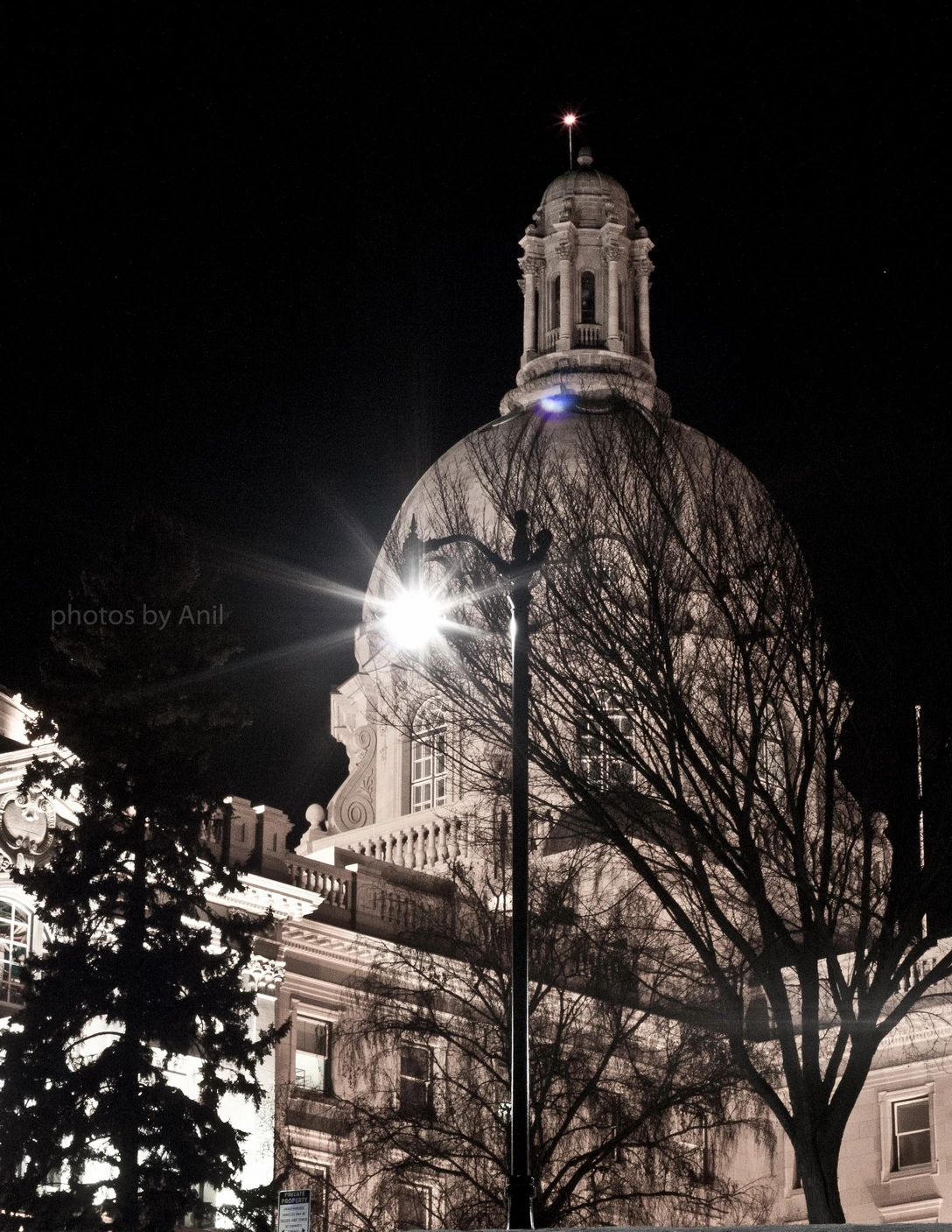 The dome of the Alberta Legislature lit at night behind bare branches